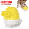 Wholesale of new cat toys, electric cat toothbrushes for teeth grinding and cleaning, cat teasing and self-entertainment, lobster personalized toys, pet supplies details Picture